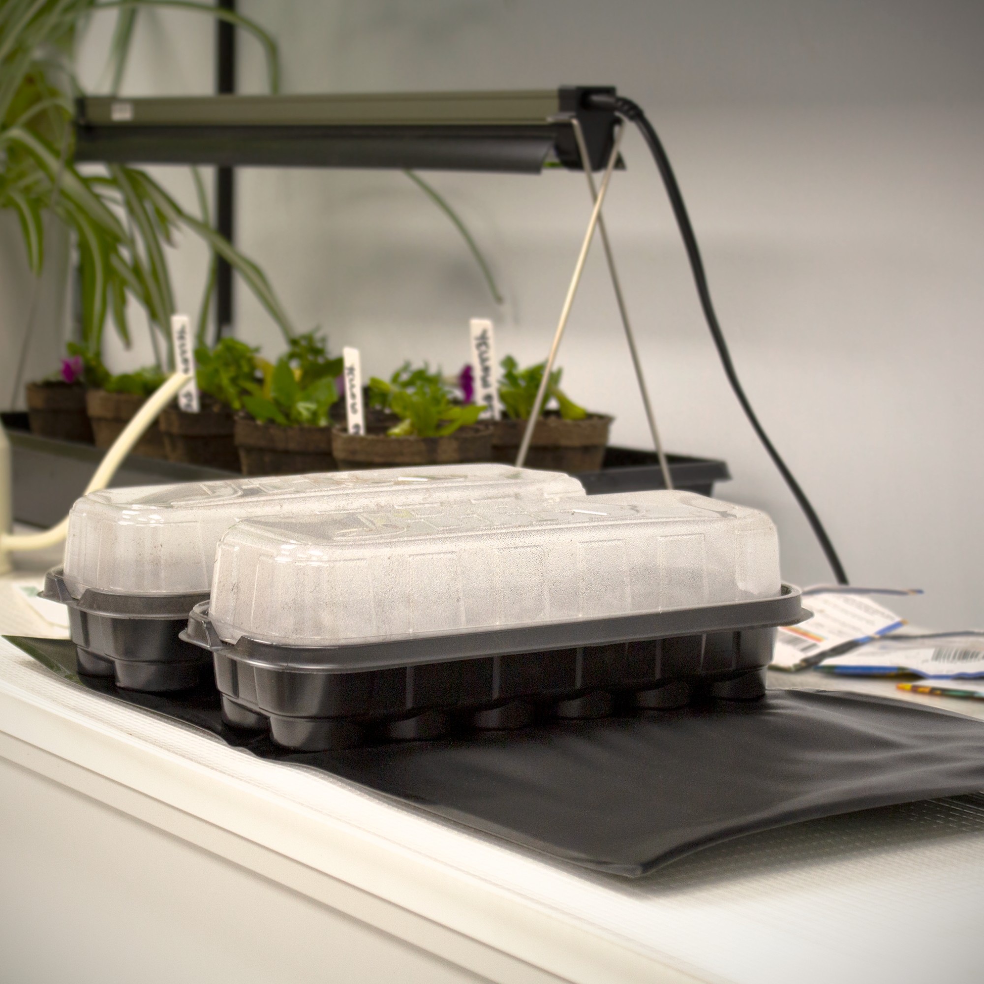 A black heat mat for seed starting